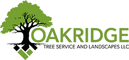 Oakridge Tree Service and Landscapes LLC